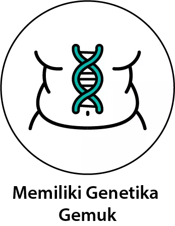 memiliki genetika gemuk