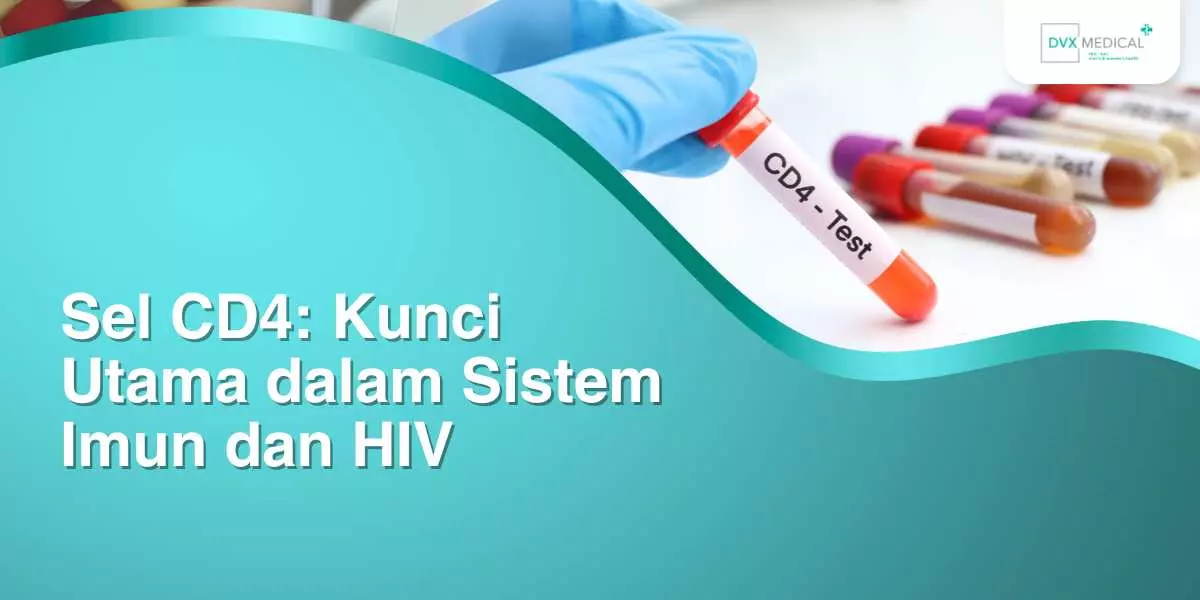 Sel CD4: Kunci Utama dalam Sistem Imun dan HIV