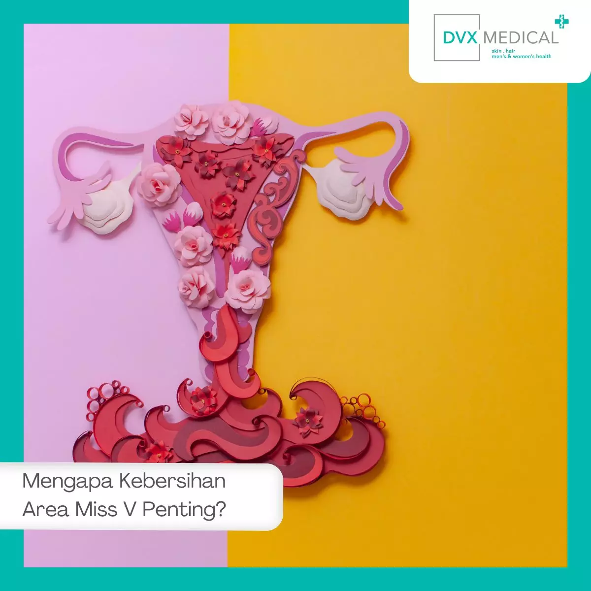 Mengapa Kebersihan Area Miss V Penting?
