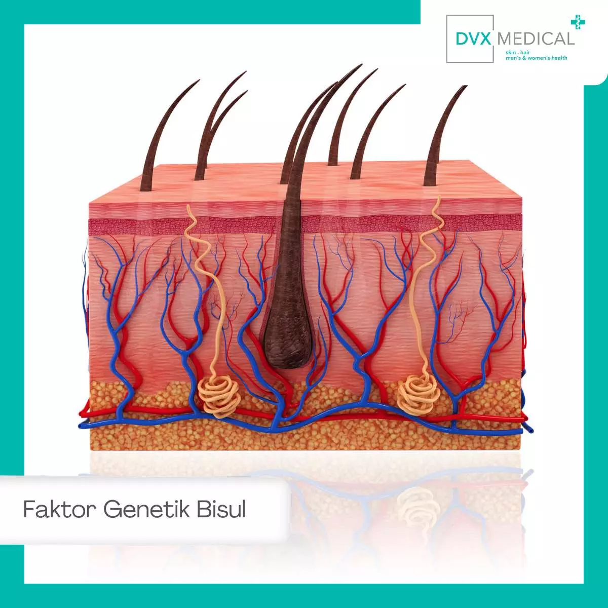 Hubungan Bisul yang Sering Kambuh Dengan Faktor Genetik