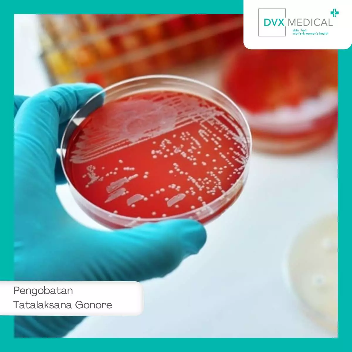 Penanganan Ulang & Resistensi Antibiotik