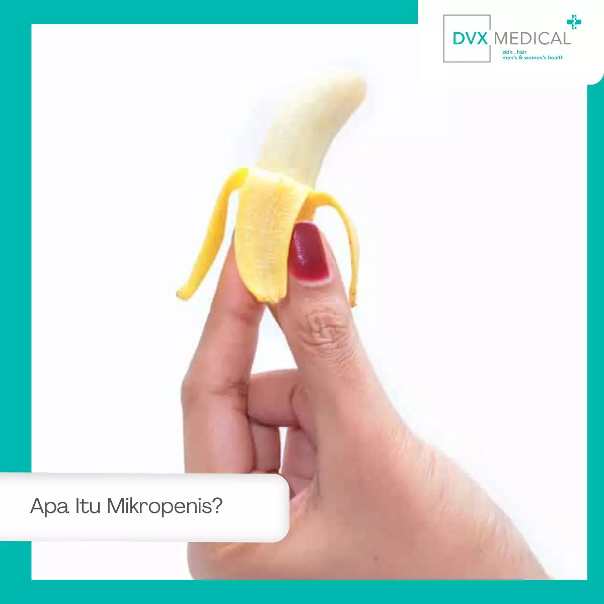 Apa Itu Mikropenis?