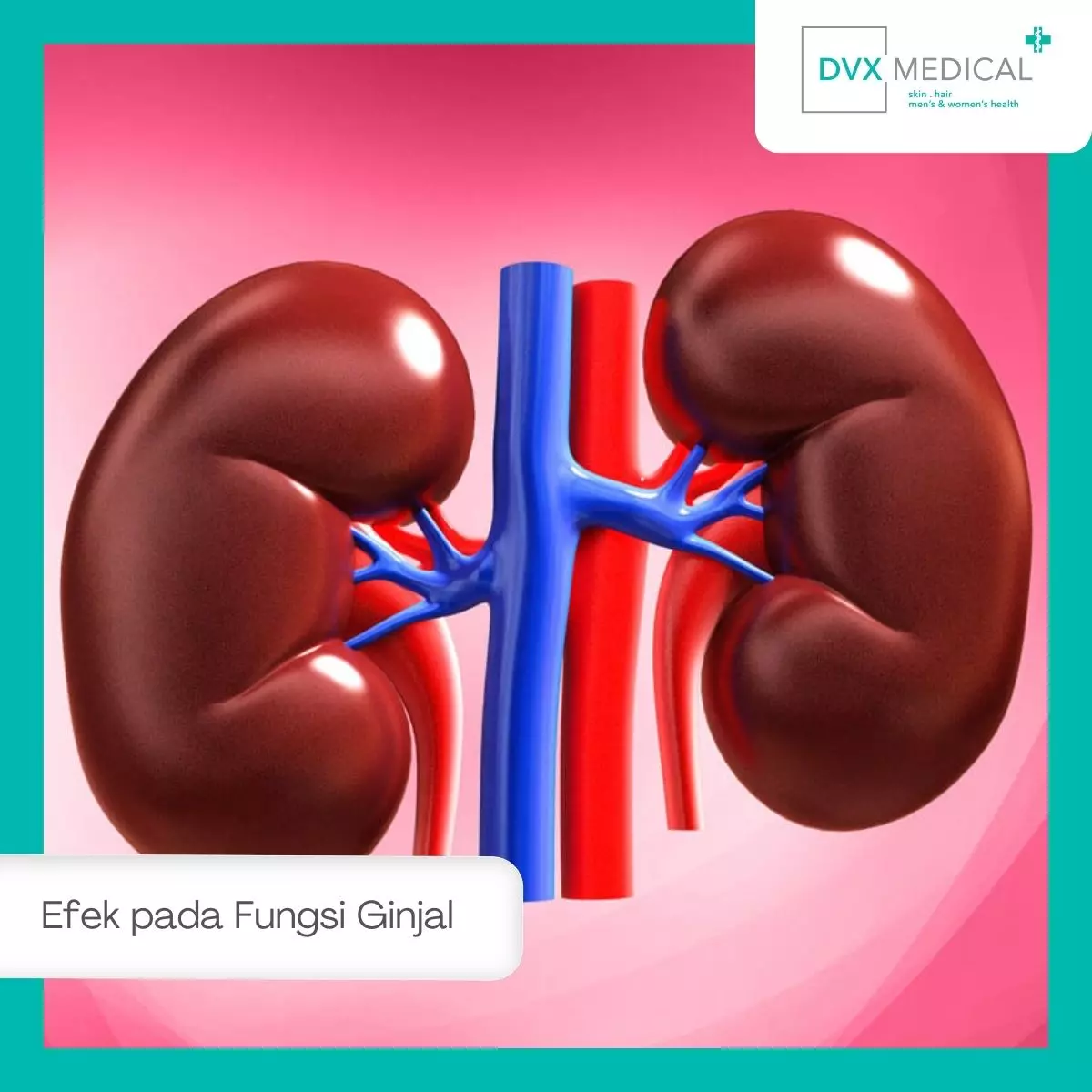 3. Efek pada Fungsi Ginjal 