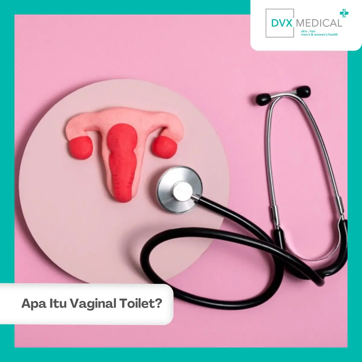 Apa Itu Vaginal Toilet?