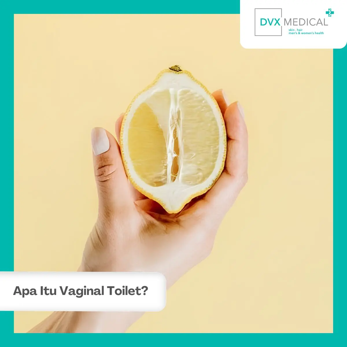Apa Itu Vaginal Toilet?