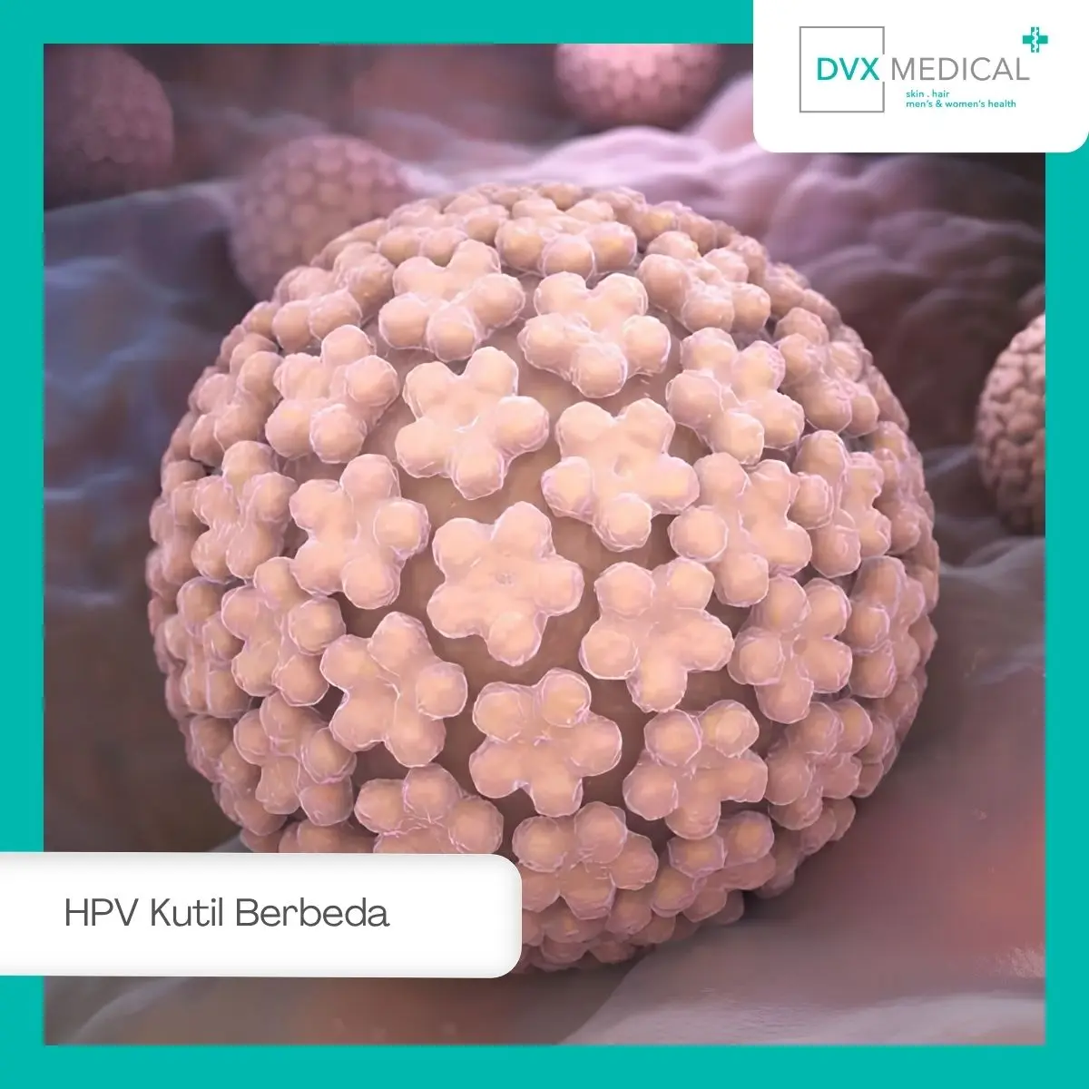 Apakah Virus HPV pada Kutil Biasa dan Kutil Kelamin Sama?