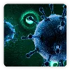Infeksi Menular (IMS)