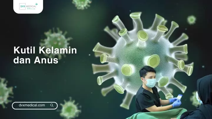 Kutil Kelamin dan Anus (Genital and Anal Warts)